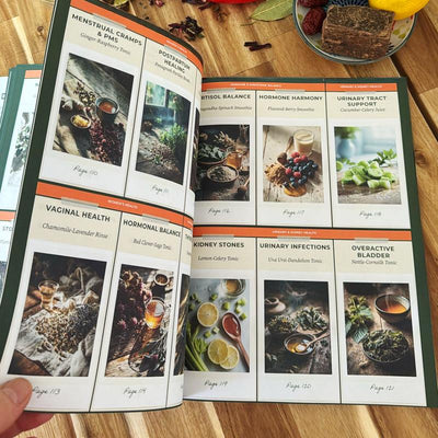 Scan Heal Repeat – Interactive Natural & Herbal Wellness Guide