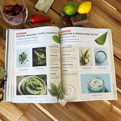 Scan Heal Repeat – Interactive Natural & Herbal Wellness Guide